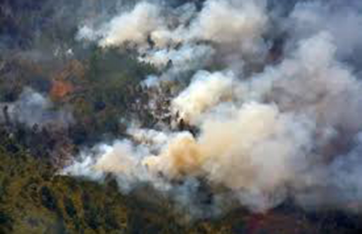 0602 incendios