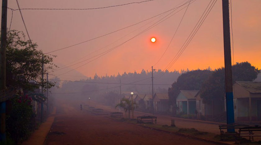 Incendio forestal