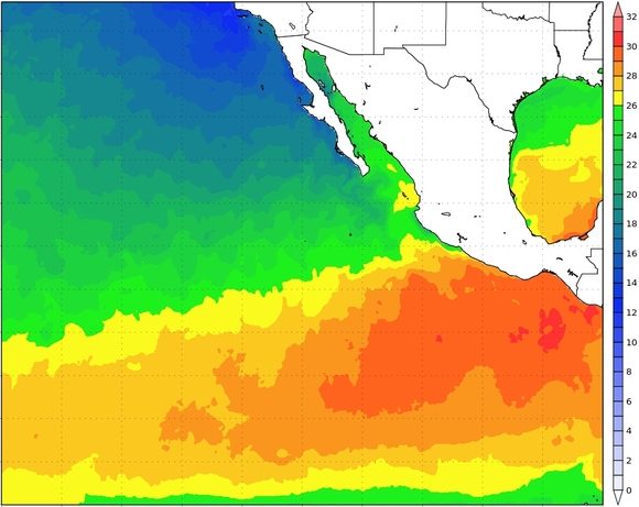 Temperatura de la superficie del mar, Pacífico nororiental, domingo anterior/Alex B.