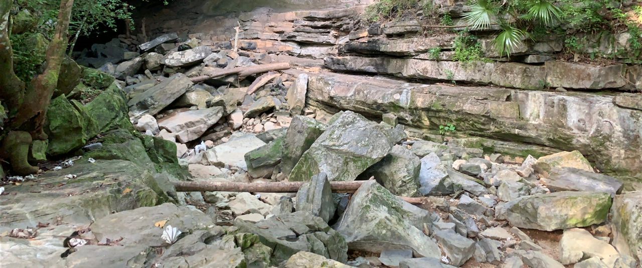 Detalle donde se observan las calizas del Jurásico tardío al Cretácico temprano al fondo, en la pared de la caverna, y los bloques angulosos y restos de vegetación que conforman el segundo piso (actual).