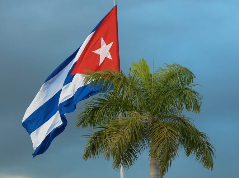 Bandera y palma cubana Bandera y palma cubana