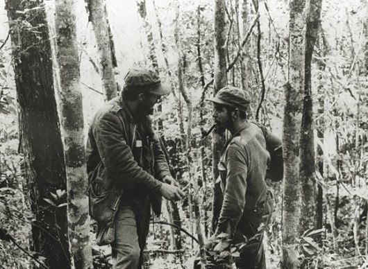 Fidel y Che