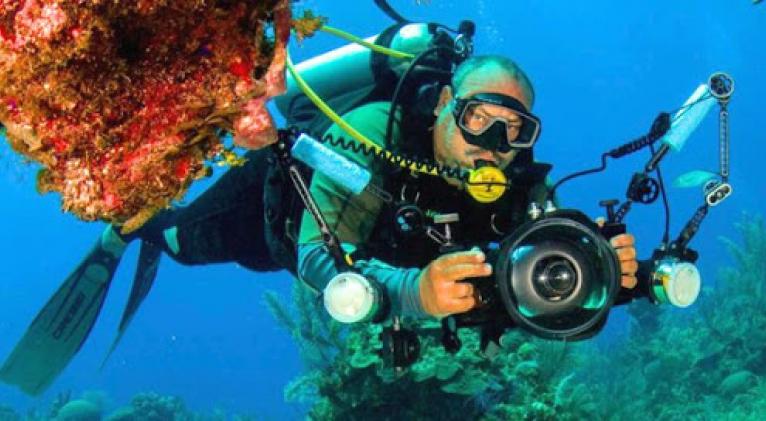 FOTOSUB: Varadero, magnífico destino de buceo FOTOSUB: Varadero, magnífico destino de buceo