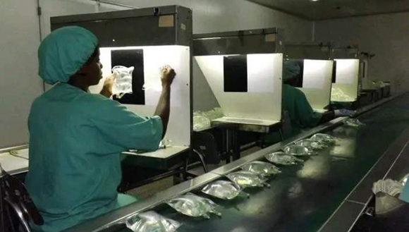 laboratorio farmaceutico oriente