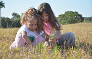 Convocan a concurso Juntos protegemos el bosque