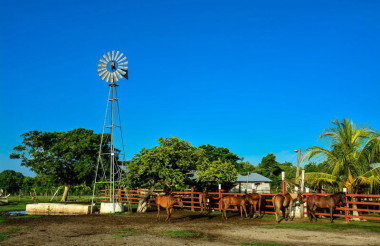 Finca agrícola con tecnología