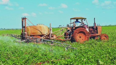 Fortalecen técnicas agroecológicas soberanía alimentaria