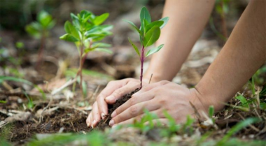 Día Mundial del Medio Ambiente