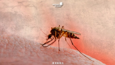 Alerta en Cuba por alza estacional de las enfermedades transmisibles